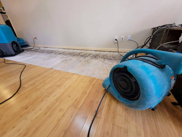 Professional Basement Flood Cleanup technician working in Glenville, WV
